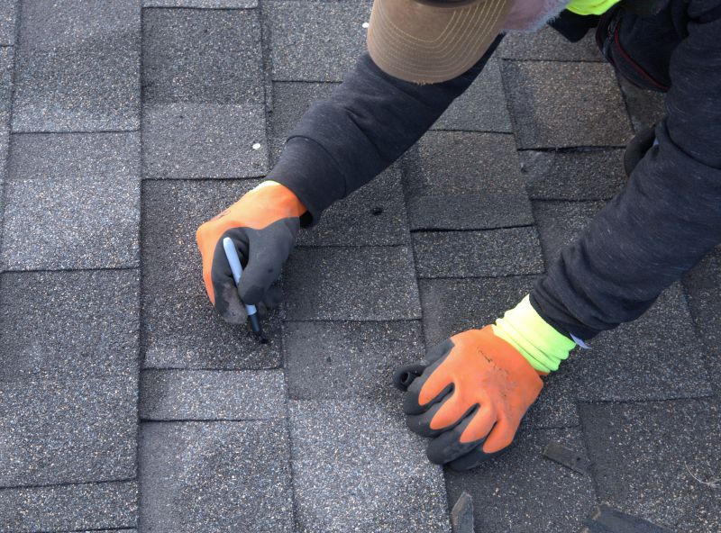 Professional Roof Inspection